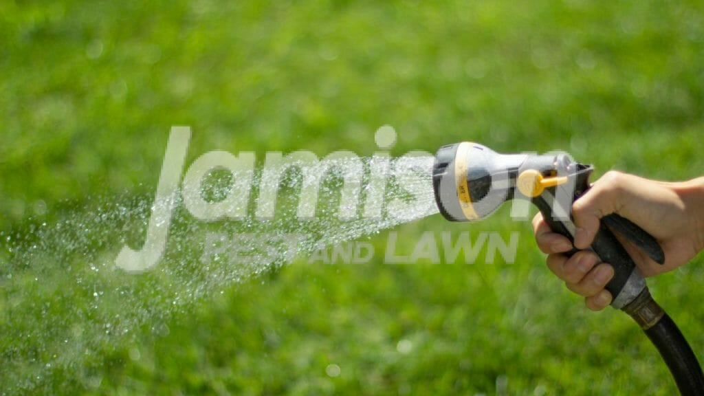 How long should you water your lawn