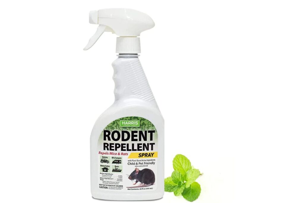 Mice repellent 2024 safe for dogs