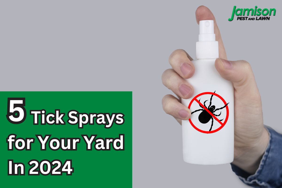 5 Tick Sprays for Your Yard In 2024 That Are Safe & Effective