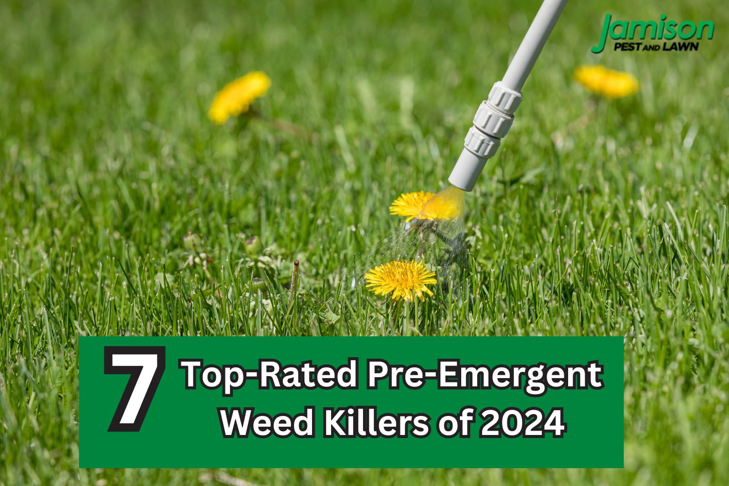 7 Top-Rated Pre-Emergent Weed Killers of 2024